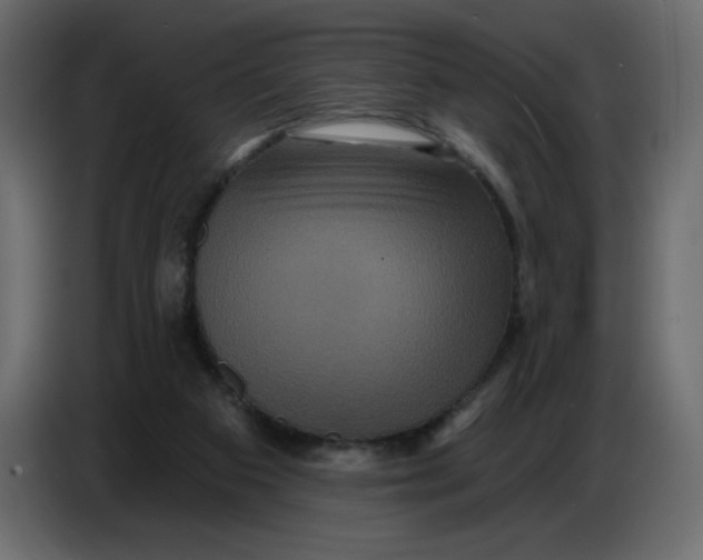 X0000086730113200705041355