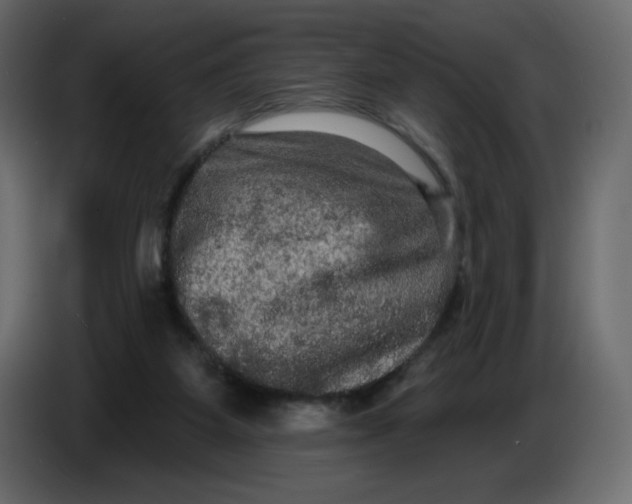 X0000086730115200705041355