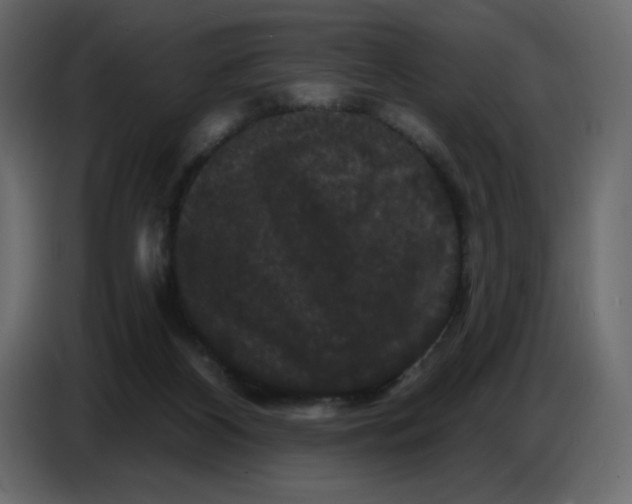 X0000086730116200705041355