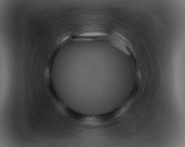 X0000086730117200705041355