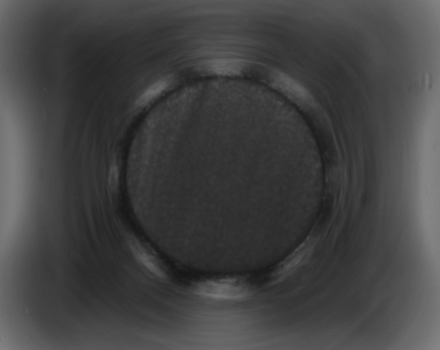 X0000086730120200705041355