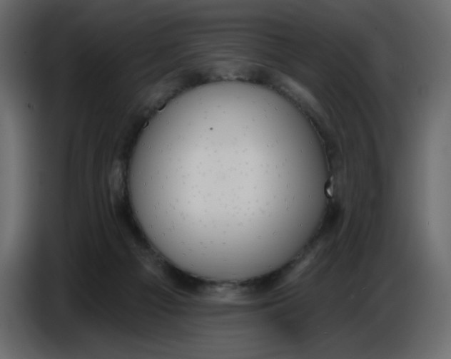 X0000086730121200705041355