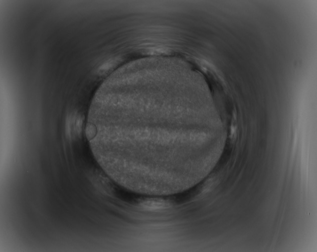 X0000086730123200705041355