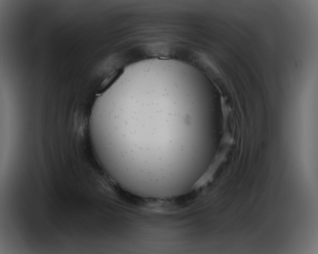 X0000086730125200705041355