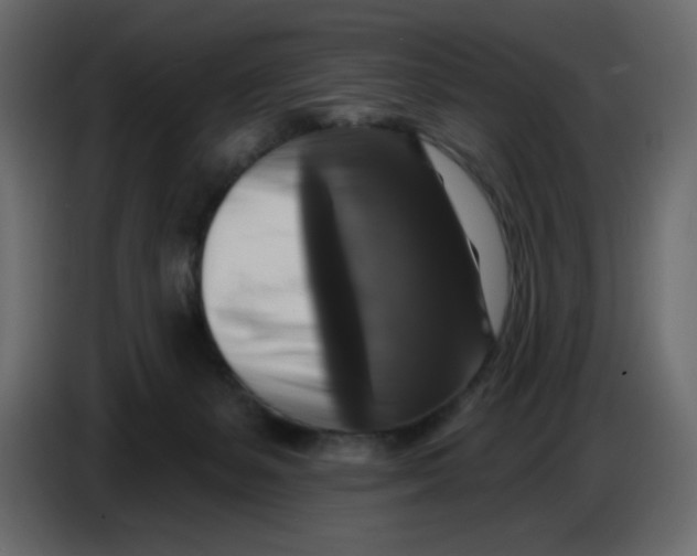 X0000086730127200705041355