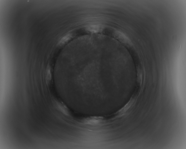X0000086730128200705041355