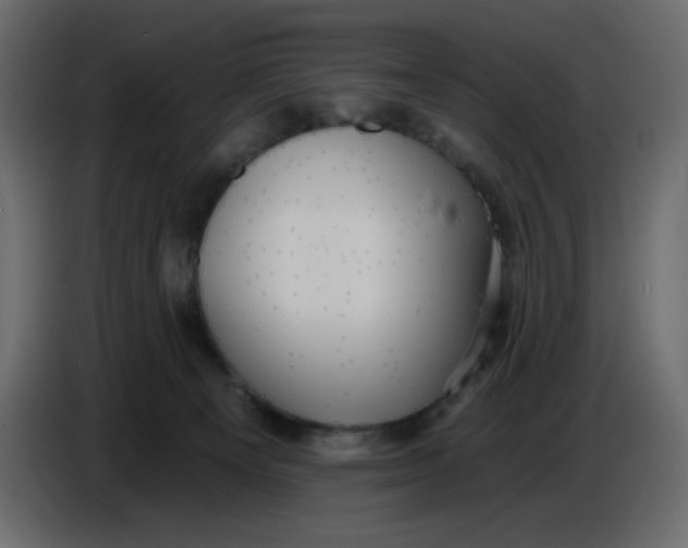 X0000086730129200705041355