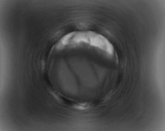 X0000086730130200705041355
