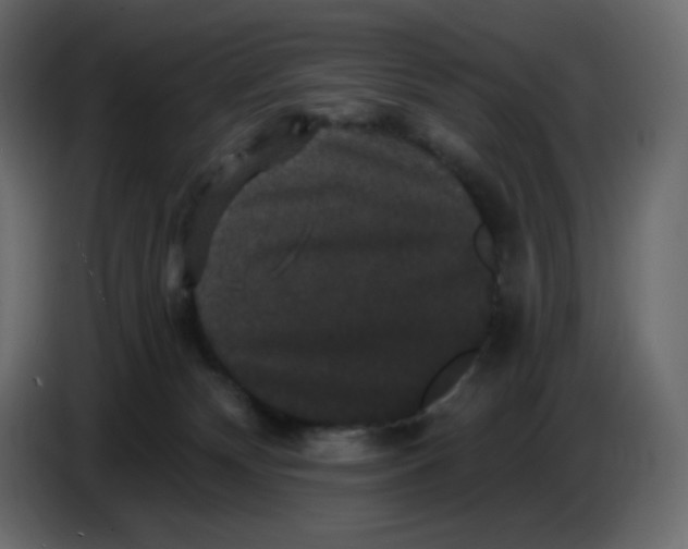 X0000086730132200705041355