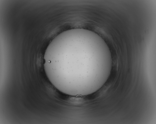 X0000086730133200705041355