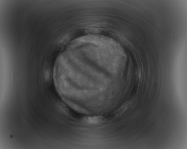 X0000086730134200705041355
