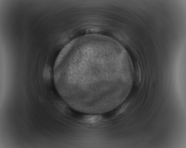 X0000086730135200705041355