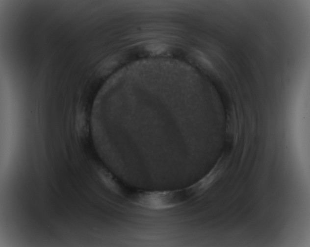 X0000086730136200705041355
