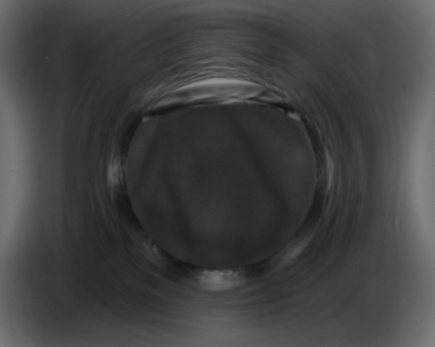 X0000086730137200705041355