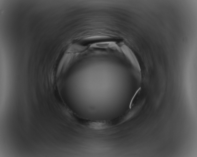 X0000086730139200705041355