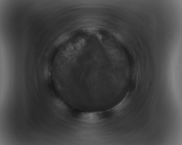 X0000086730140200705041355