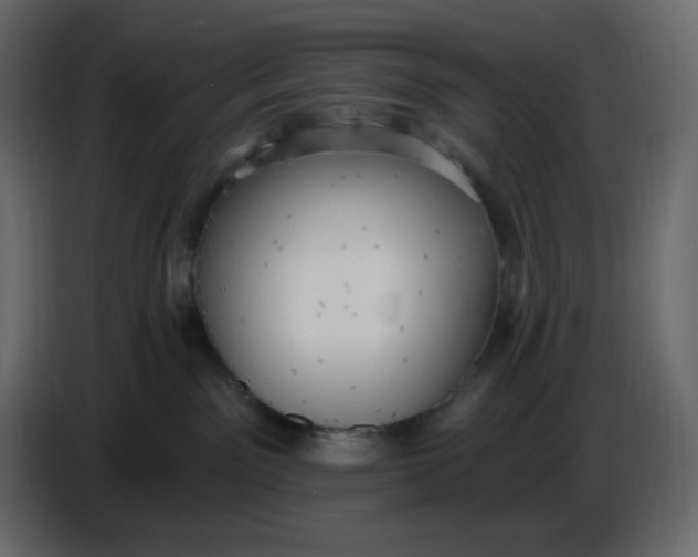 X0000086730141200705041355
