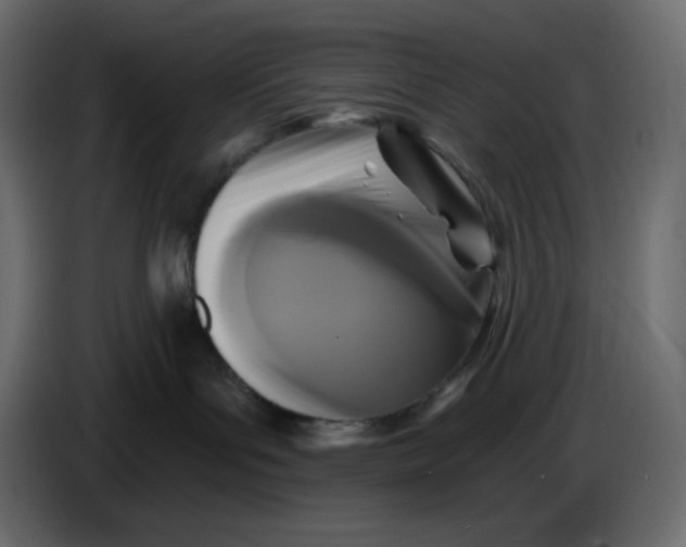 X0000086730143200705041355