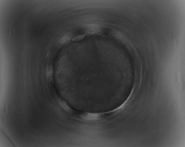 X0000086730144200705041355