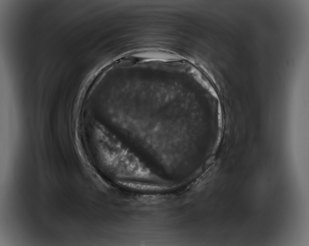 X0000086730145200705041354