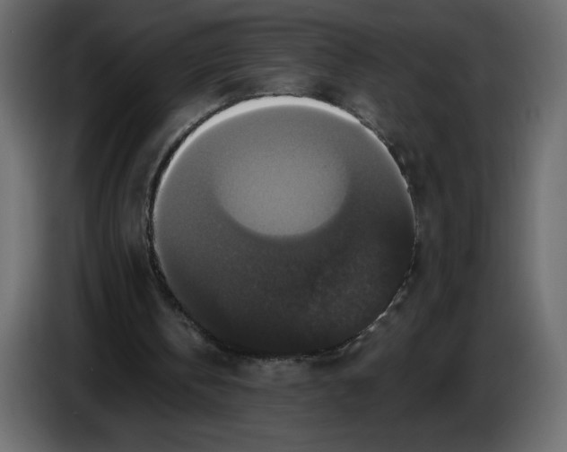 X0000086730146200705041354