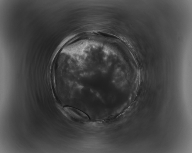 X0000086730147200705041354