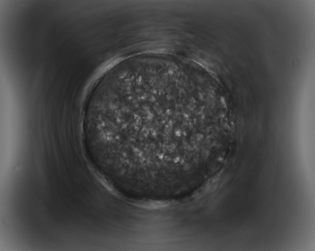 X0000086730149200705041354