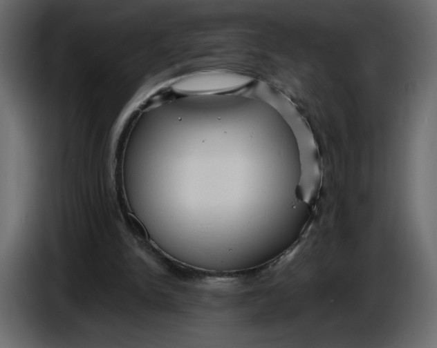 X0000086730150200705041354