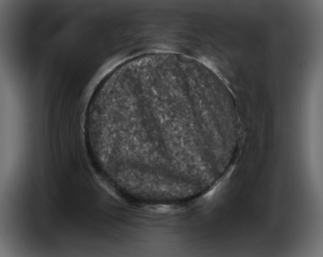 X0000086730151200705041354