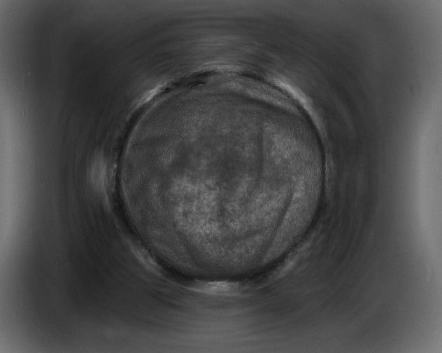 X0000086730153200705041354