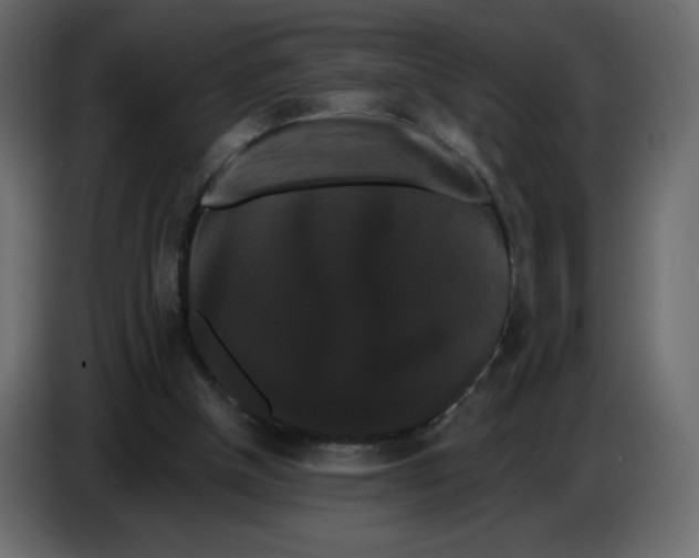 X0000086730154200705041354