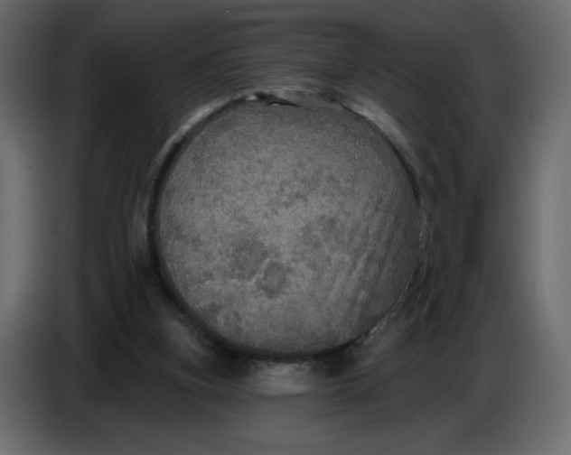 X0000086730155200705041354