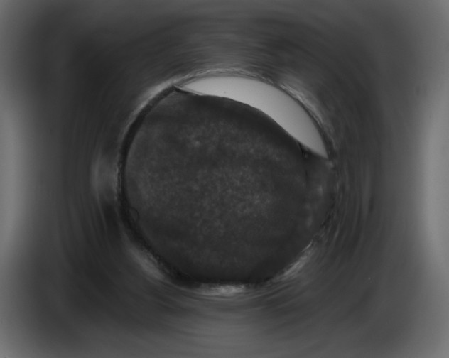 X0000086730156200705041354