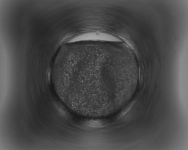 X0000086730157200705041354