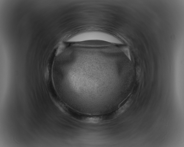 X0000086730158200705041354