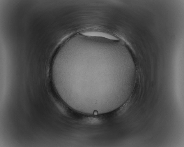 X0000086730159200705041354