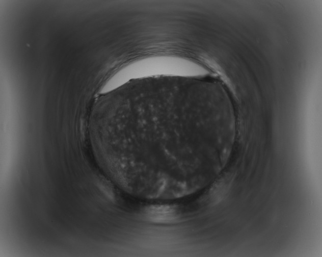 X0000086730161200705041354