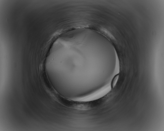 X0000086730163200705041354