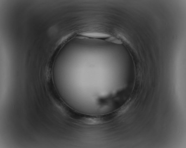 X0000086730164200705041355