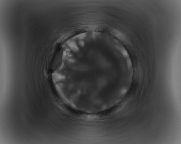 X0000086730165200705041355