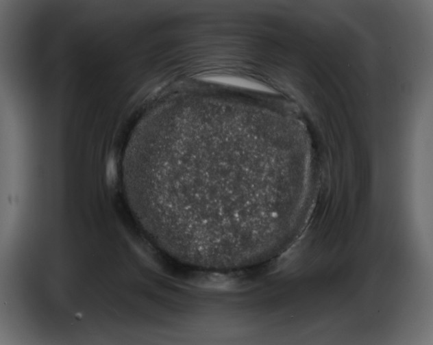X0000086730166200705041355