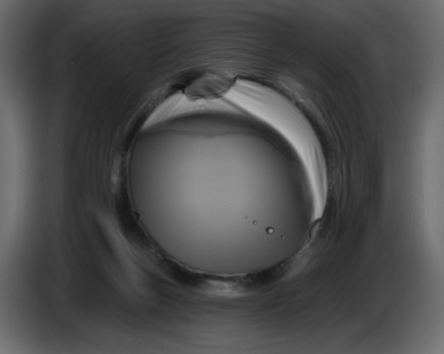 X0000086730167200705041355