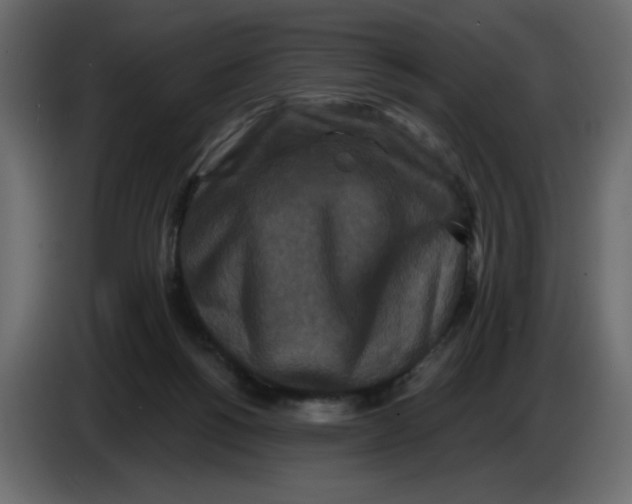 X0000086730168200705041355