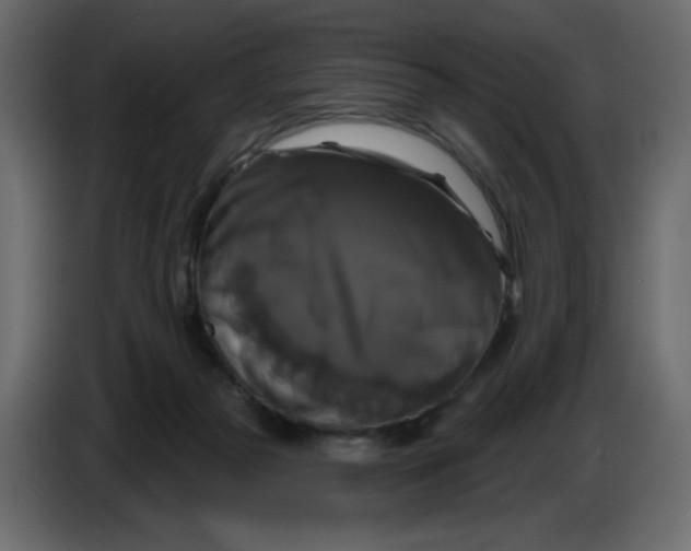 X0000086730169200705041355