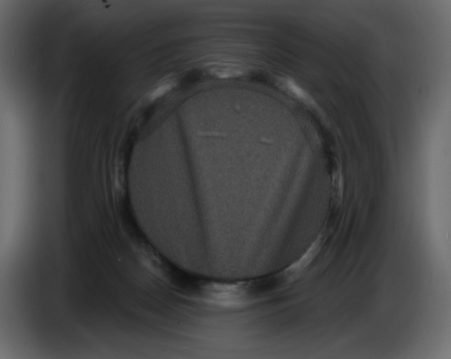X0000086730170200705041355
