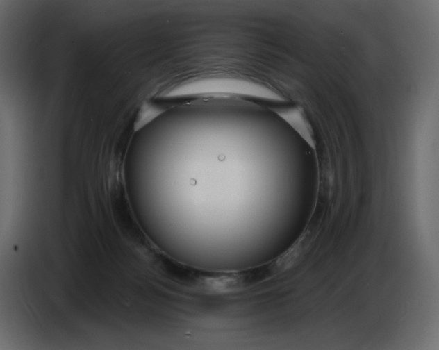 X0000086730172200705041355
