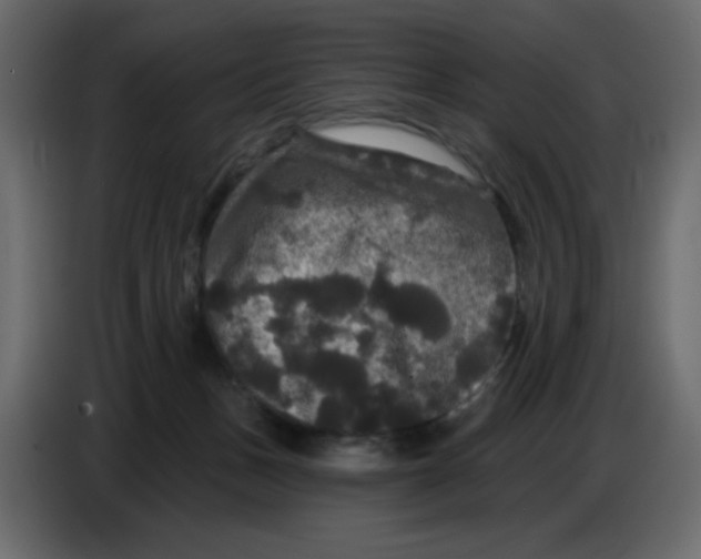X0000086730175200705041355
