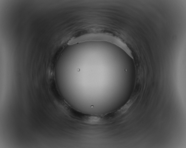 X0000086730176200705041355