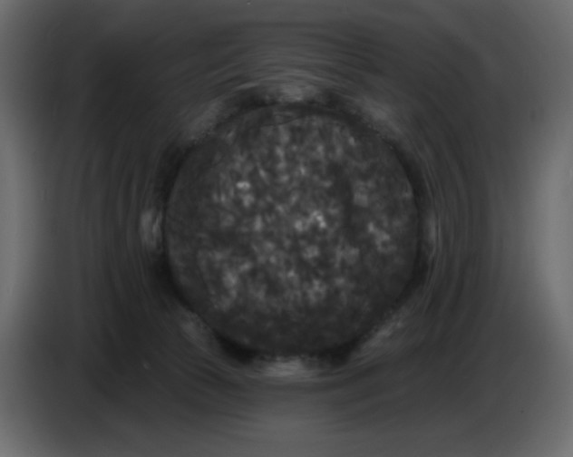 X0000086730177200705041355