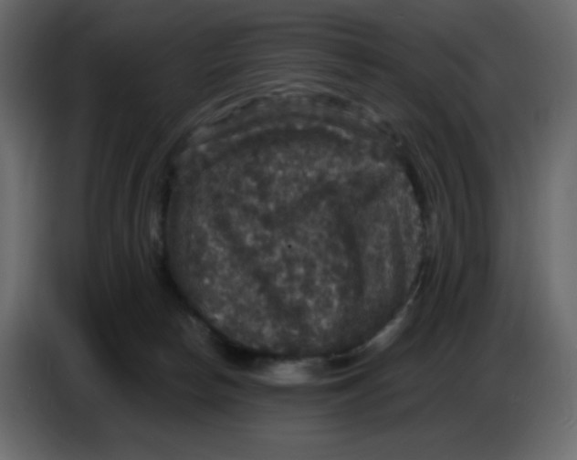 X0000086730178200705041355